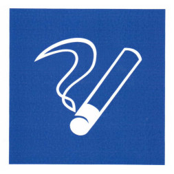 Информационный знак Место курения ПВХ 200х200