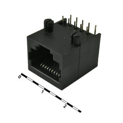 Разъем TJ10P10C